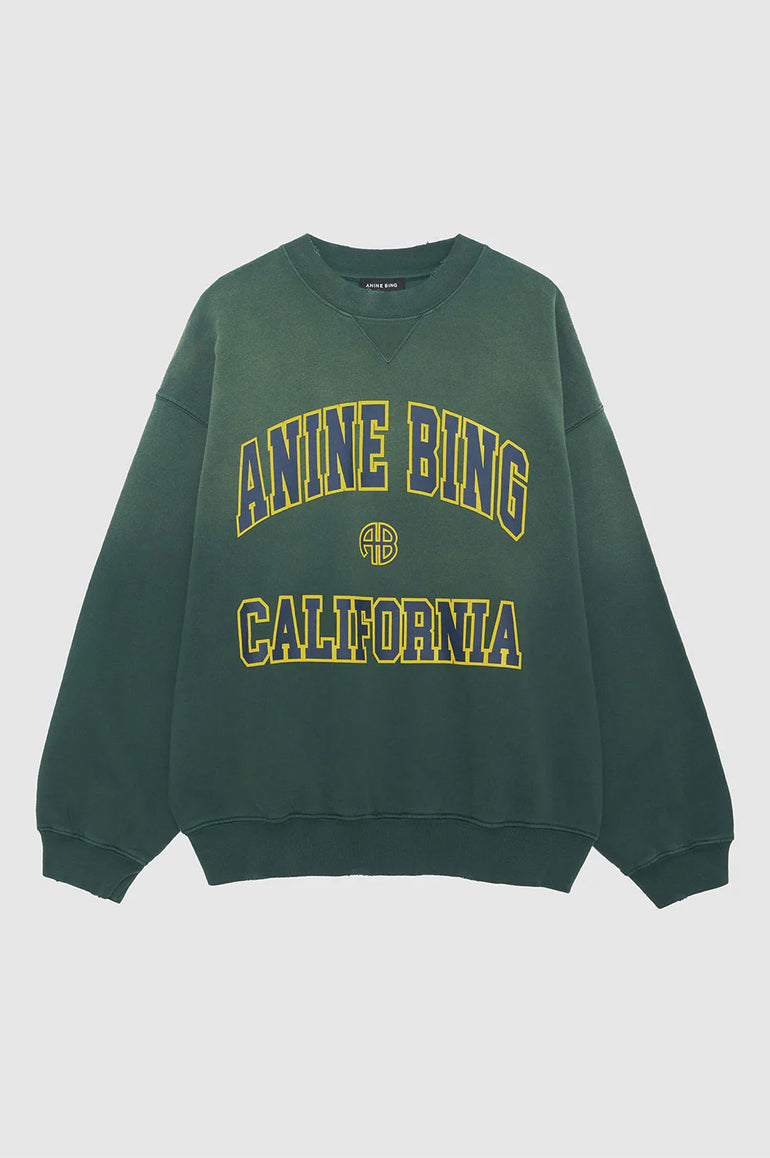 Anine Bing Jaci Sweatshirt Anine Bing California Washed Faded Green