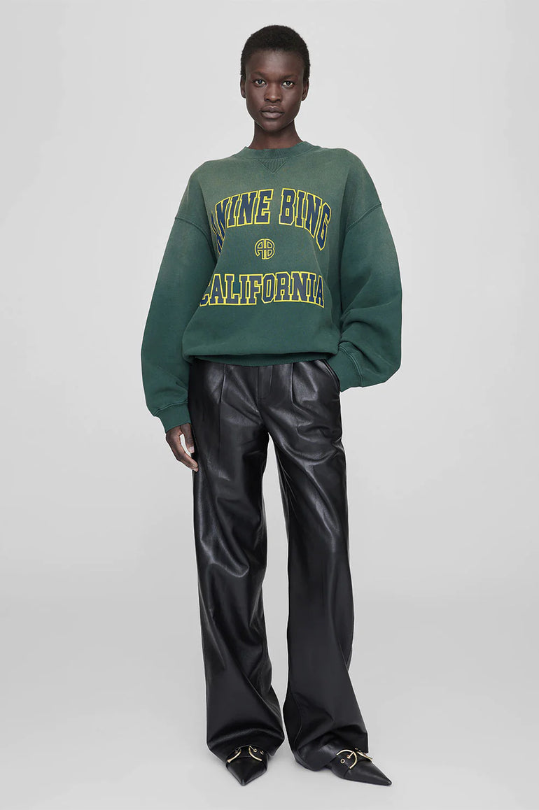 Anine Bing Jaci Sweatshirt Anine Bing California Washed Faded Green