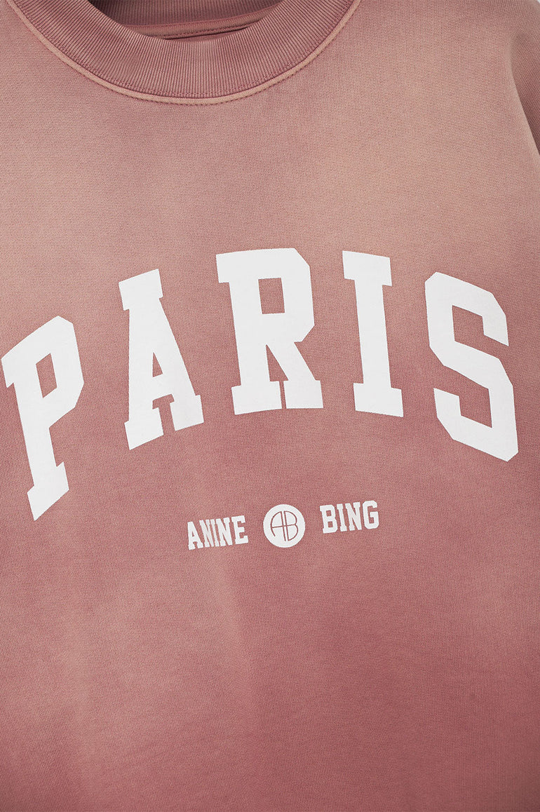 Anine Bing Jaci Sweatshirt University Paris Washed Faded Terracotta