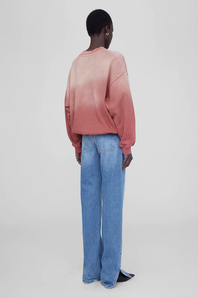 Anine Bing Jaci Sweatshirt University Paris Washed Faded Terracotta
