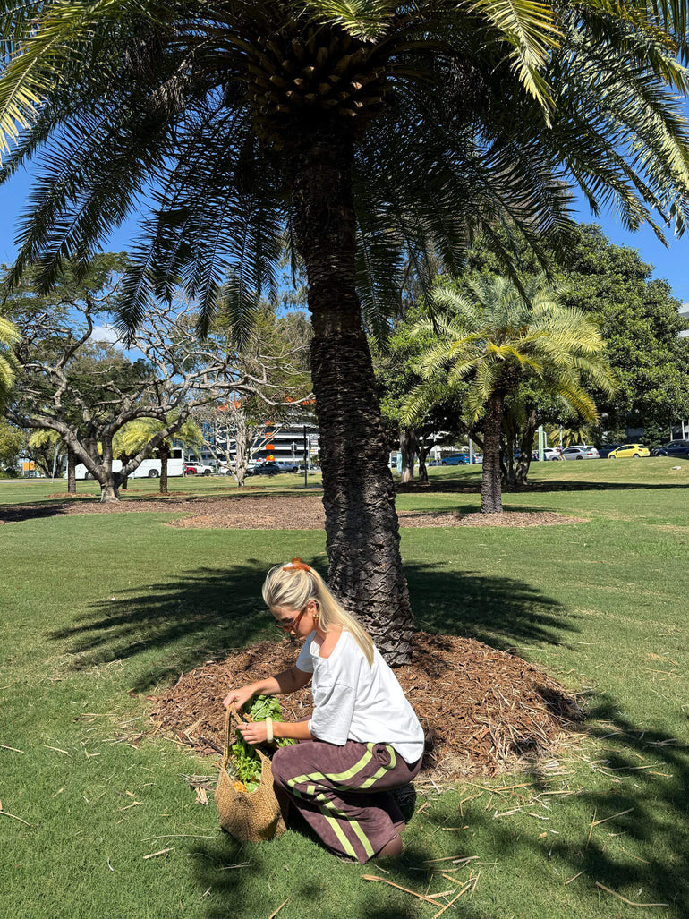 Person planting a tree in a park with palm trees and grass in the background wearing brown terry towelling pants with green stripes.
