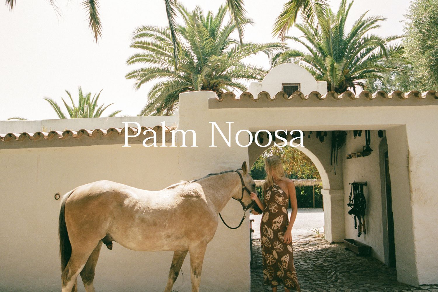 Palm Noosa