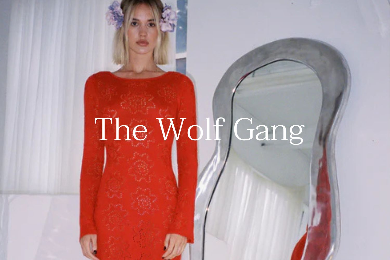 The Wolf Gang