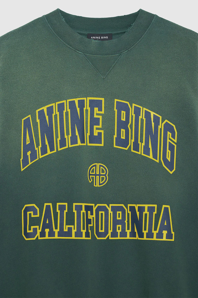 Anine Bing Jaci Sweatshirt Anine Bing California Washed Faded Green