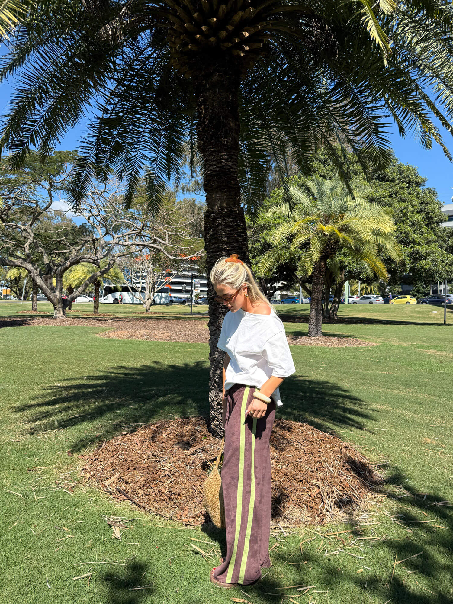 Person standing under a palm tree in a park wearing brown Terry towelling pants with green stripes
